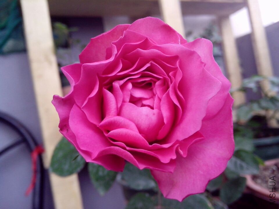 QQͼƬ20141210155414.jpg
