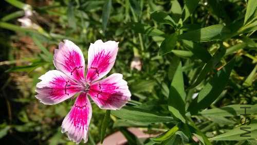 IMG_20140904_093650.jpg