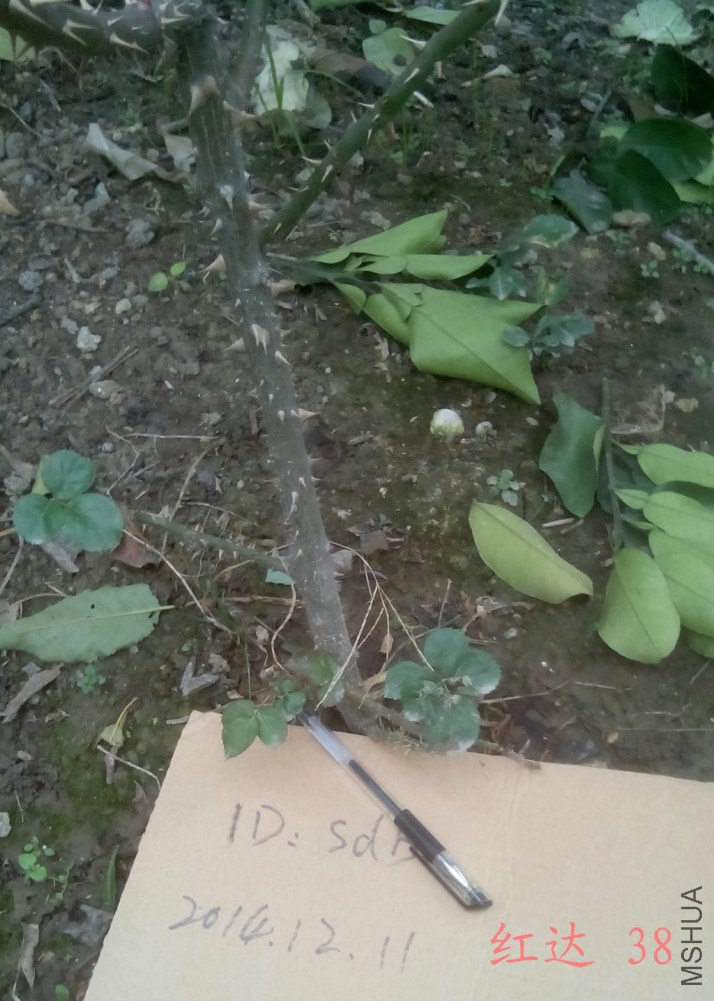 ���