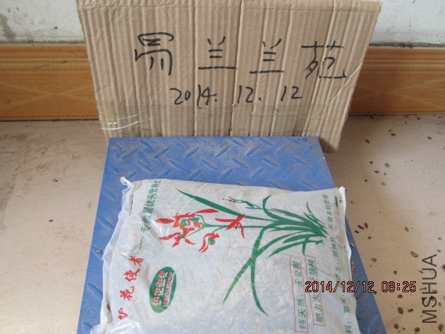 IMG_7949.JPG
