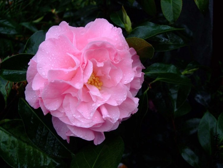 ������ 2012-3-30f 045.jpg