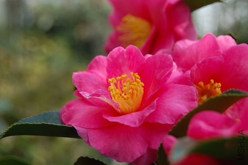 DSC_00280028.JPG