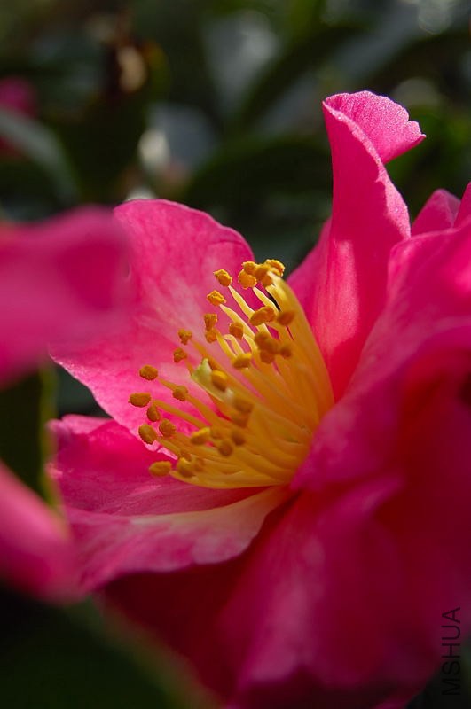 DSC_00530053.JPG