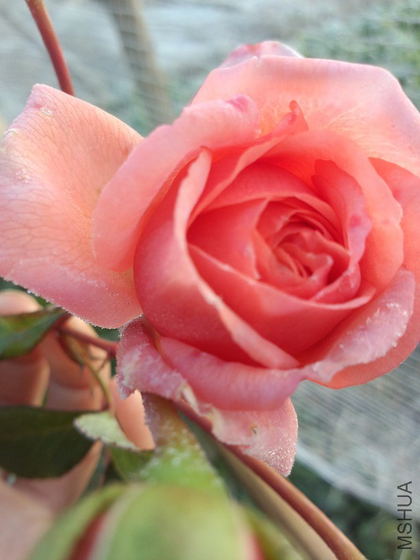 ˹ͼ���ؿ���1��������