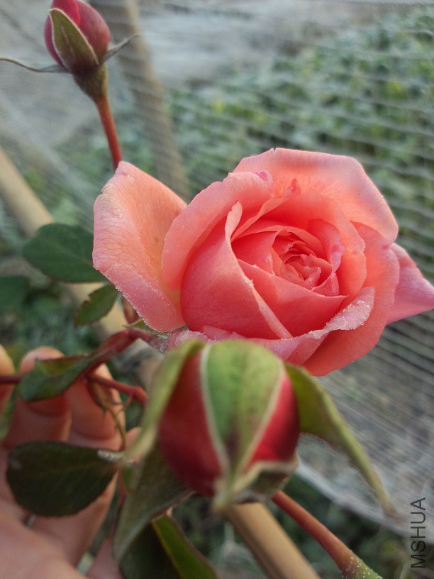 ˹ͼ���ػ����ܶ�