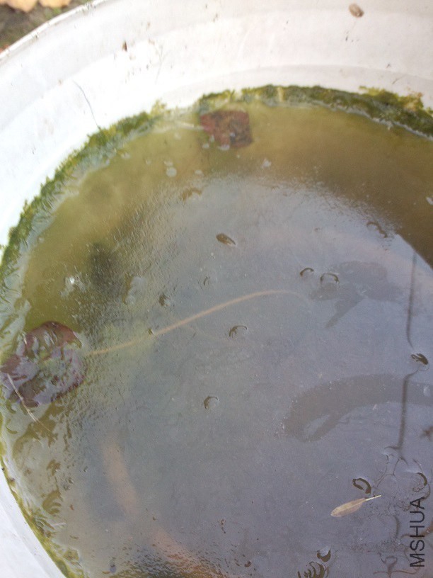 ˯������ܽ���ʹ���