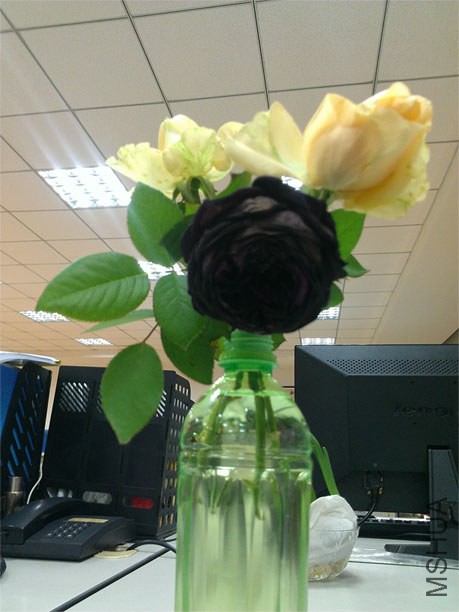 ����1 12-13.jpg