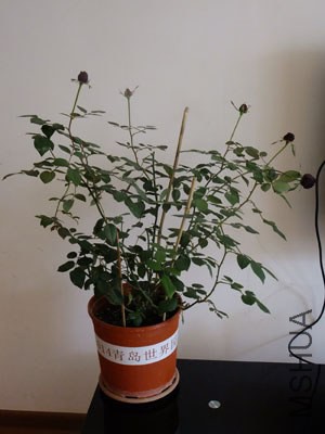 ����3 12-13.jpg