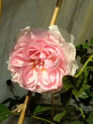 �������3 12-13.jpg