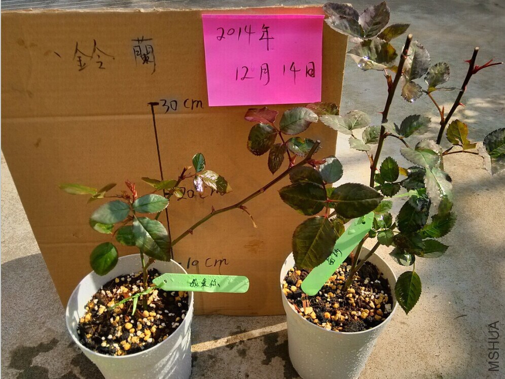 �簡5.jpg
