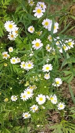 psb (67)_����.jpg