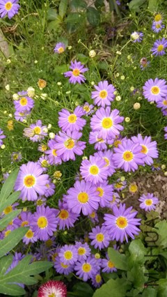 psb (68)_����.jpg