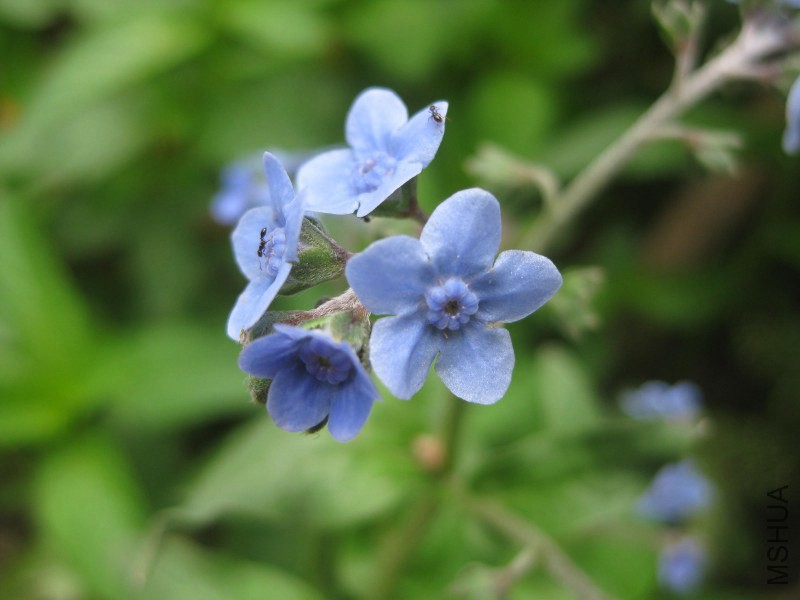 psb (79)_����.jpg