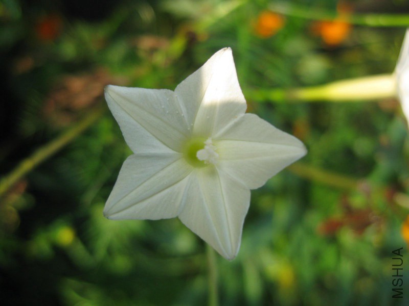 psb (84)_����.jpg