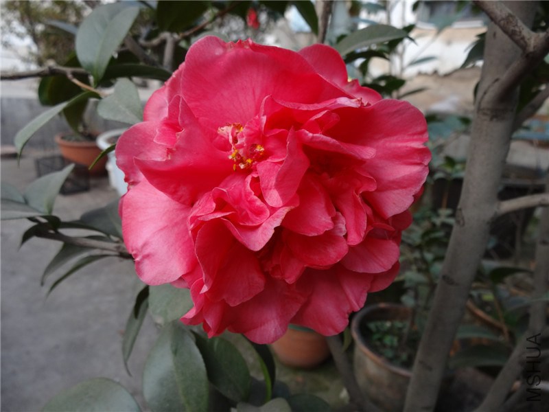DSC01549.jpg