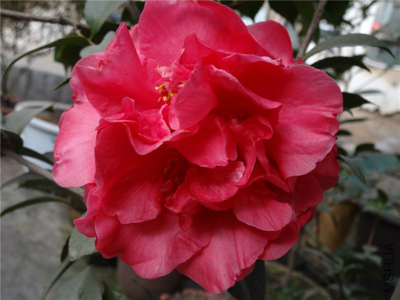 DSC01551.jpg