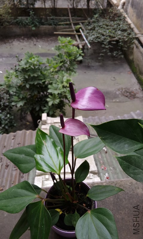 P41214-141411.jpg