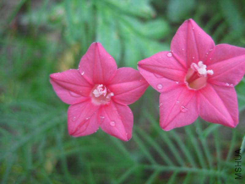 psb (86)_����.jpg