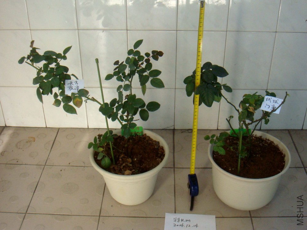 �췽ҹ̷����������02.JPG