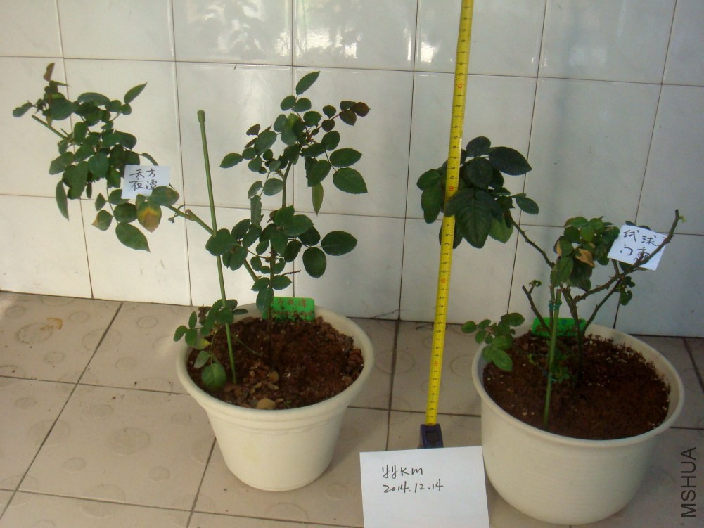 �췽ҹ̷����������03.JPG
