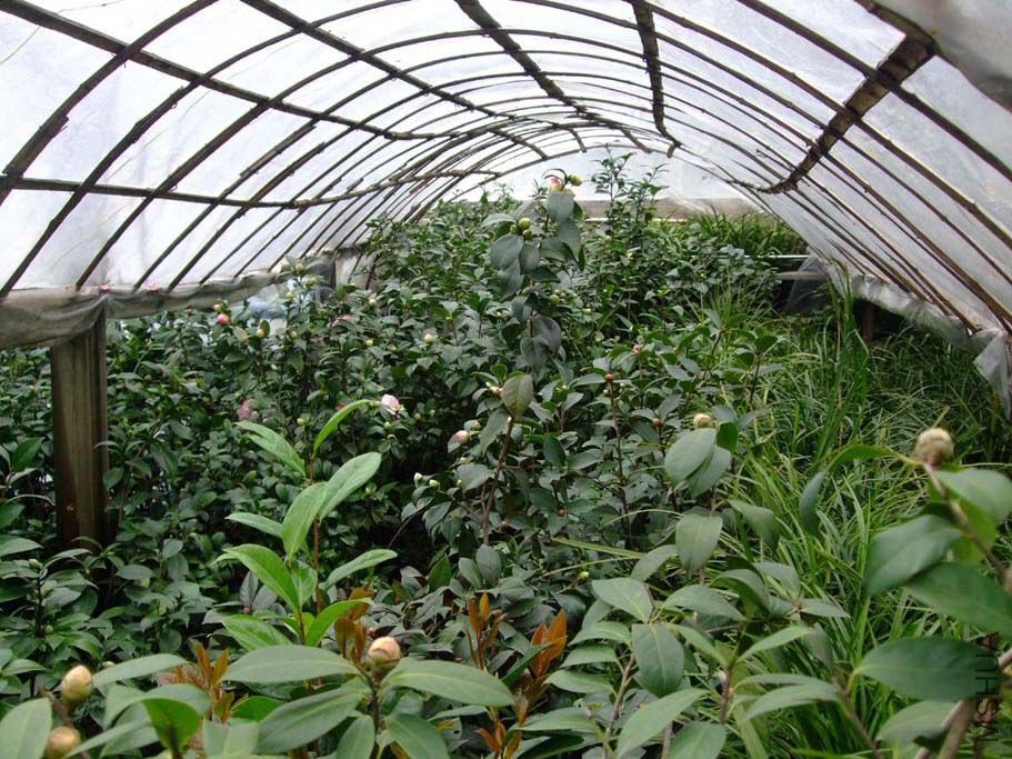 �軨 2014-12-11 009.jpg