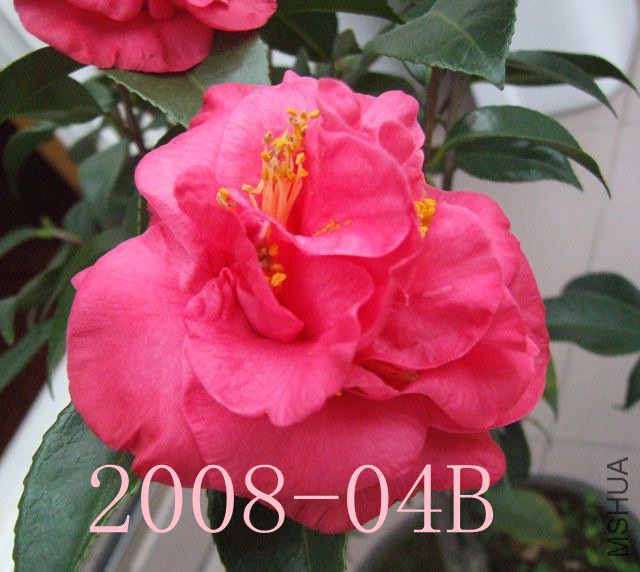 DSCF7791_����_����.jpg