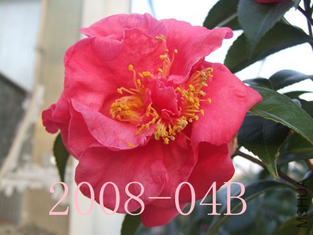 DSCF7831_����.jpg