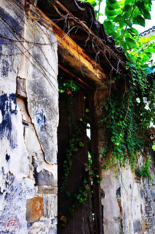 psb (1106)_����.jpg