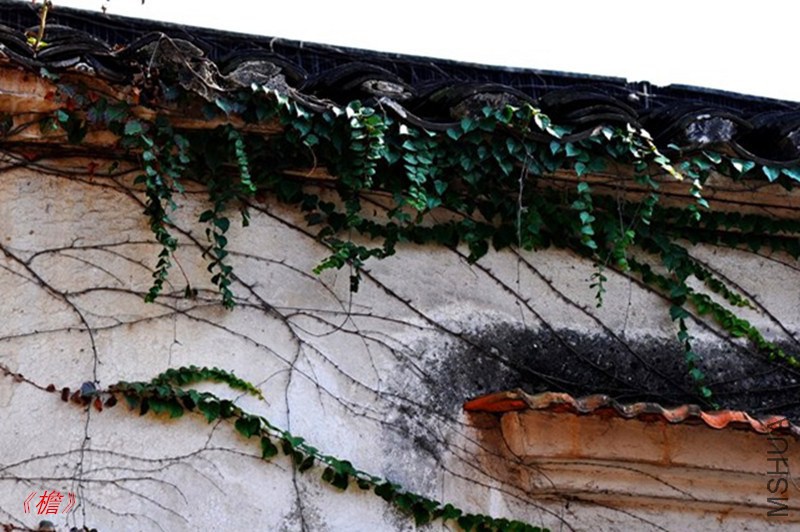 psb (1108)_����.jpg