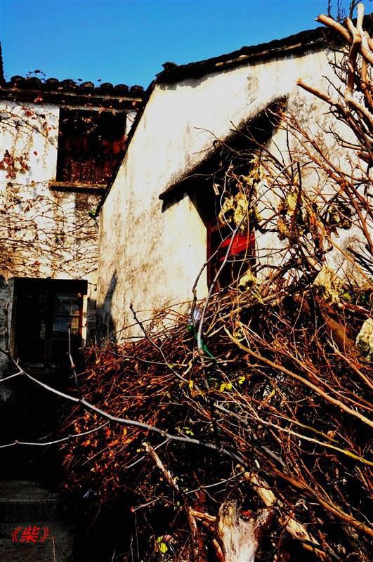 psb (1107)_����.jpg