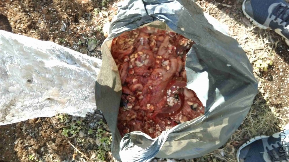 ����������ˮ