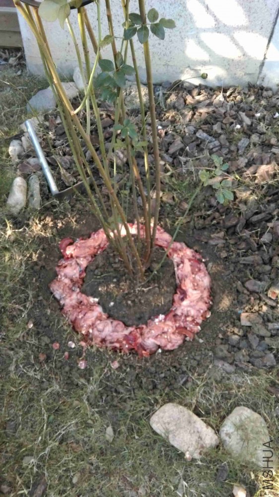 �Ǻǣ���ζ�ذ�
