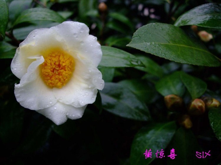 �ƾ�ϲ  10-3-6(1).jpg