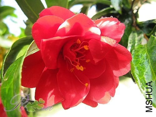 ��ȸ��~2 (1).JPG