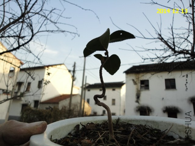 DSC06183.JPG