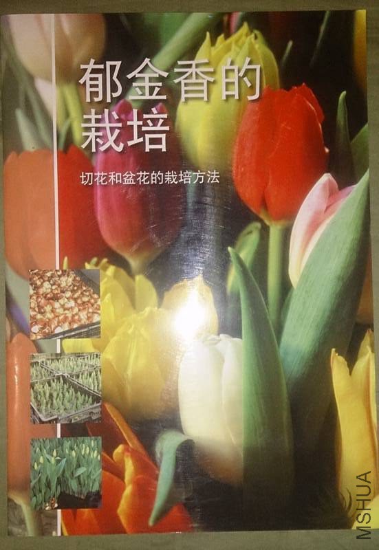 �½��ļ��� (2)DSC_0698.JPG
