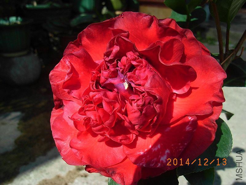 R0013917_����_����.jpg