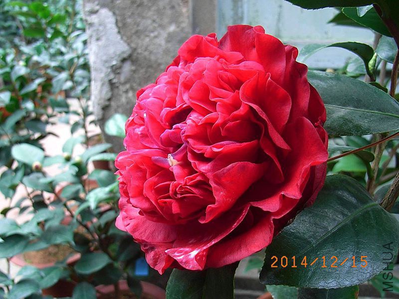 R0013923_����_����.jpg
