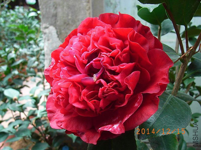 R0013928_����_����.jpg