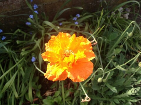 img-1371027680486.jpg