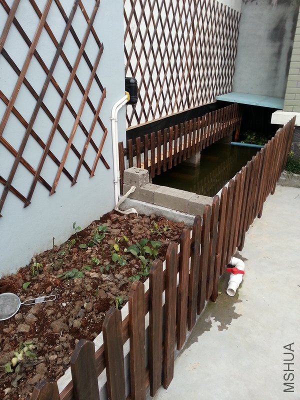 20141203_142516.CE38.jpg
