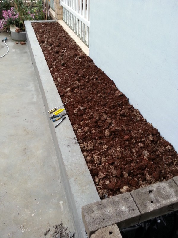 20141109_153823.4AE4.jpg