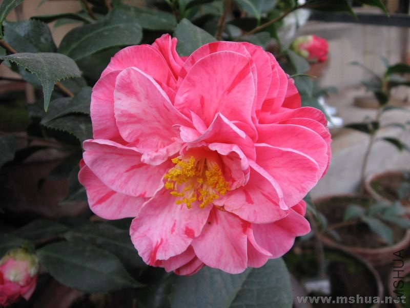 ����1 (1).JPG