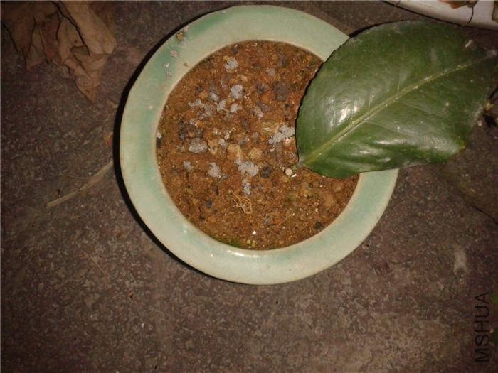 2014-12-12 18.24.09.jpg