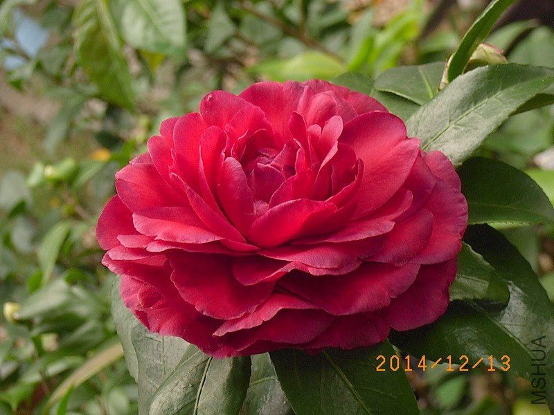 ���ݷ�A3.JPG