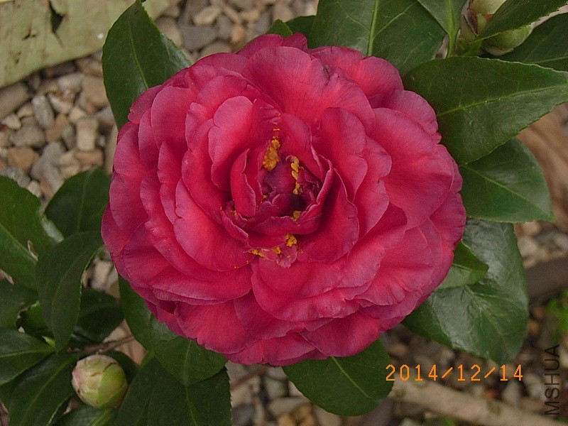 ���ݷ�A5.JPG