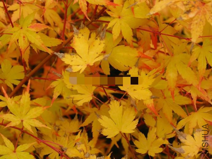 3ec8d2f5ga60d31b3bdbc&amp;690.jpg
