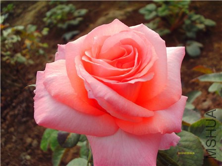 IMAG0032 - ����.jpg