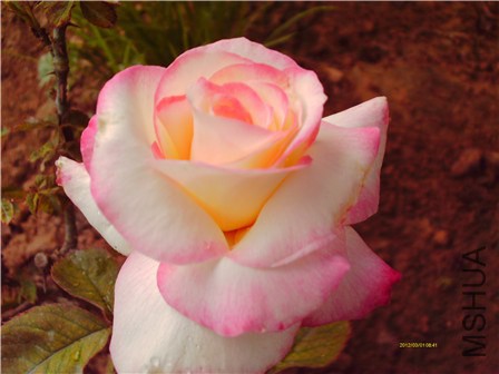 IMAG0177 - ����.jpg