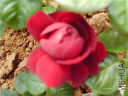 IMAG0054 - ����.jpg